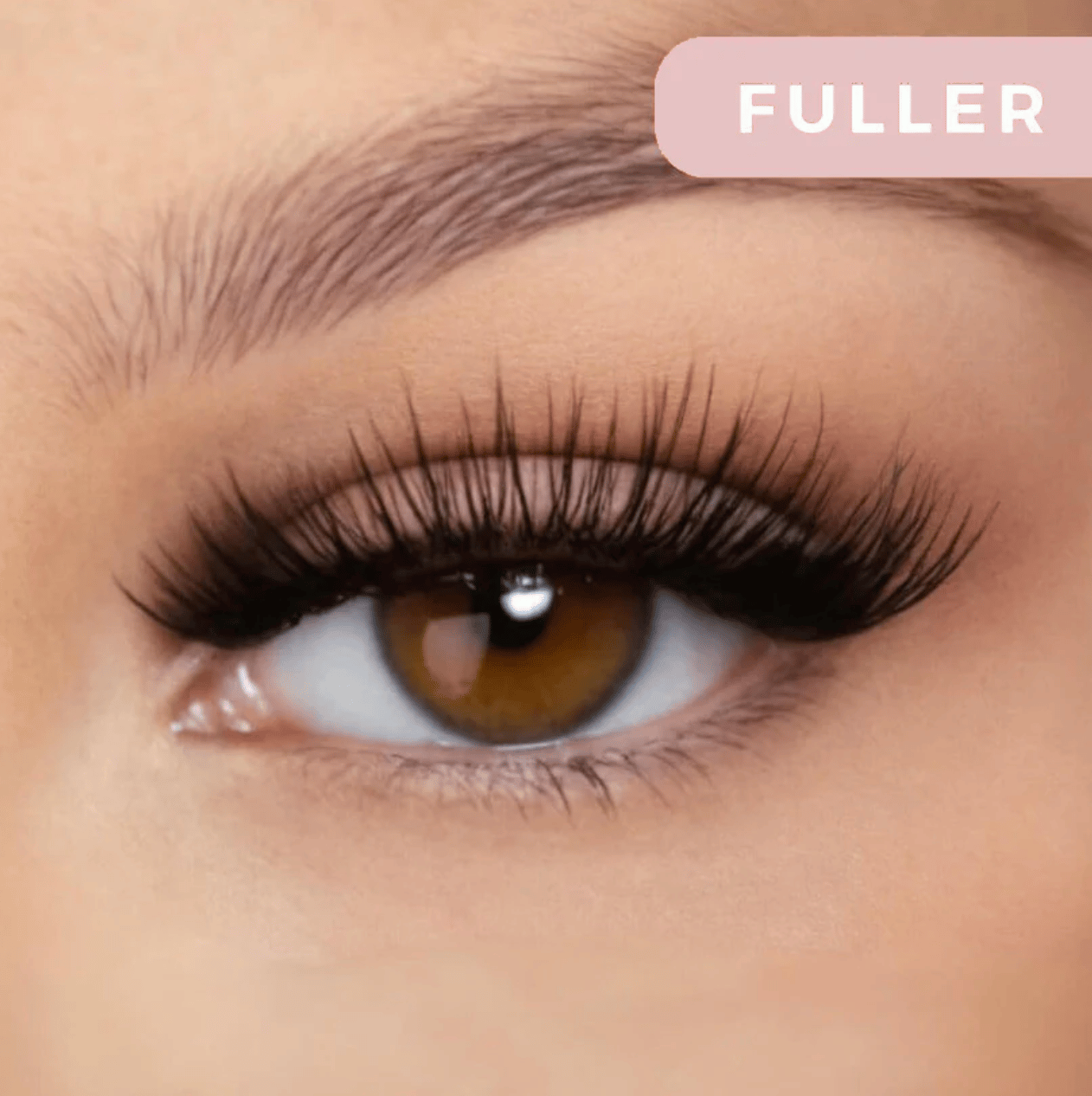 MagniLash™ (75% OFF TODAY ONLY)